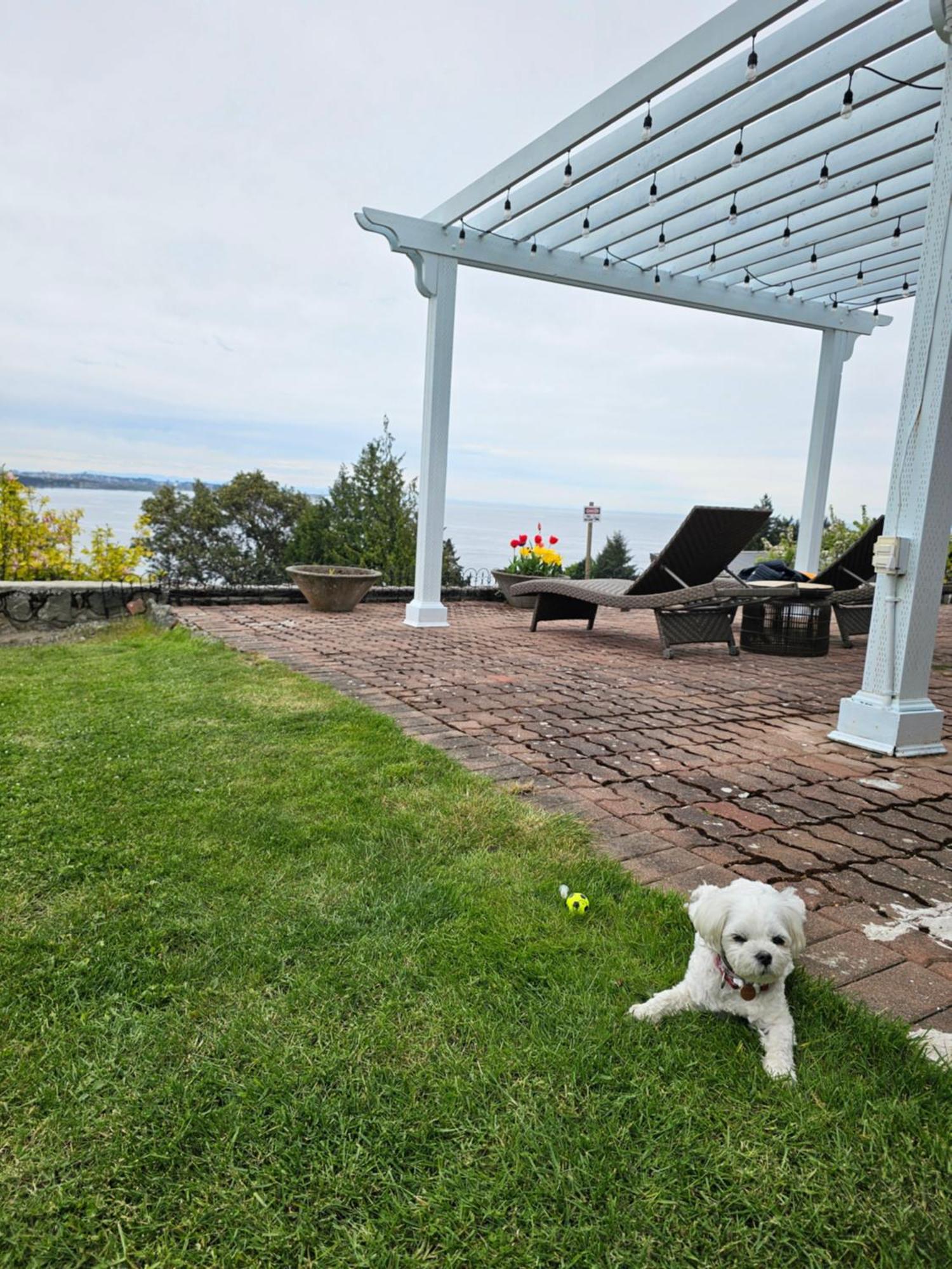 Hov House -hospitality Ocean View Victoria-