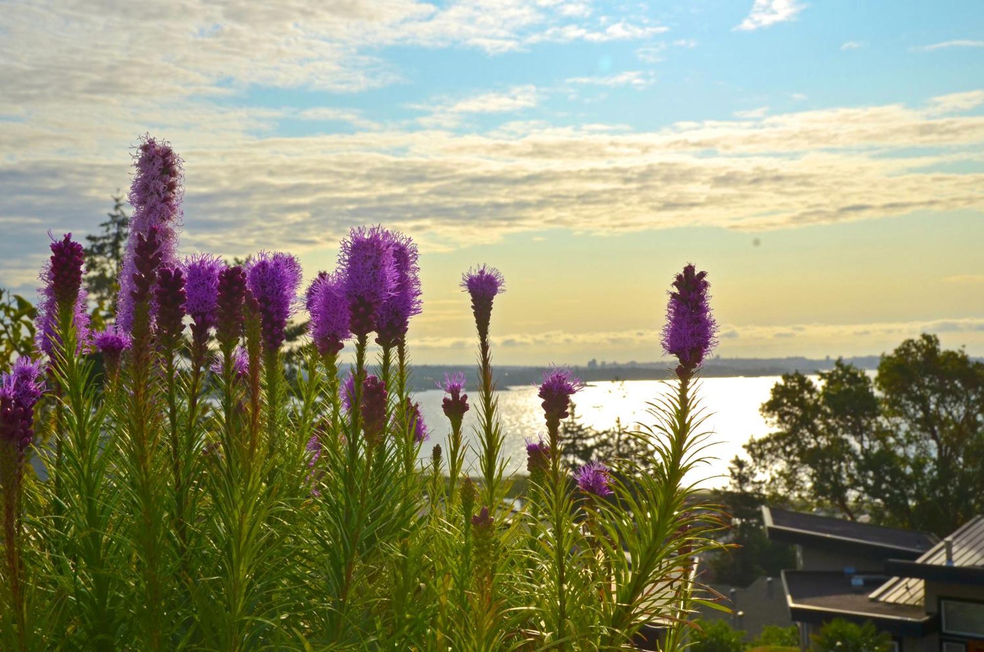Hov House -hospitality Ocean View Victoria- *